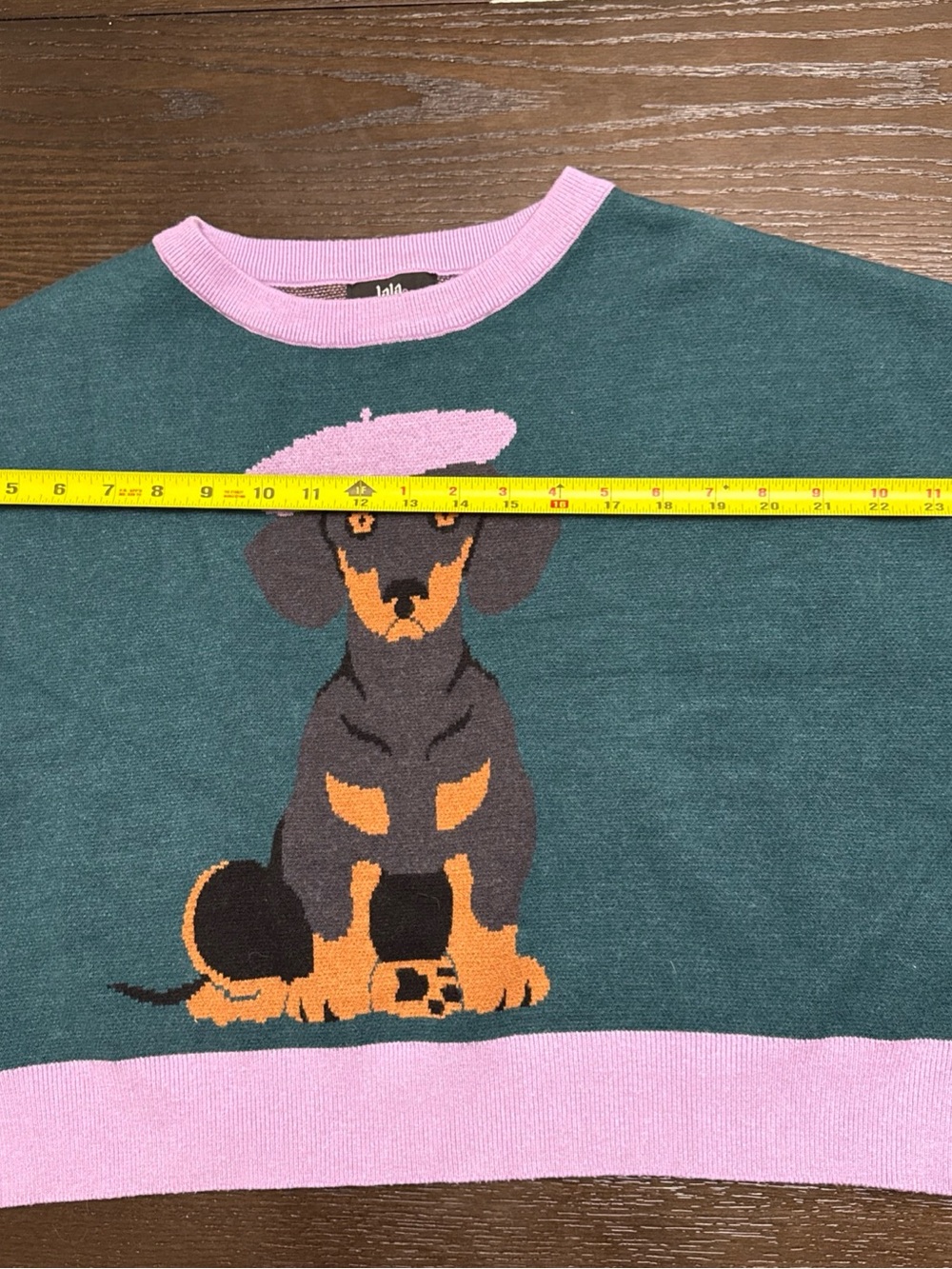 Dressed in LALA Teal Crewneck Sweater with Pink Trim & Dachshund Graphic - Picture 8 of 12